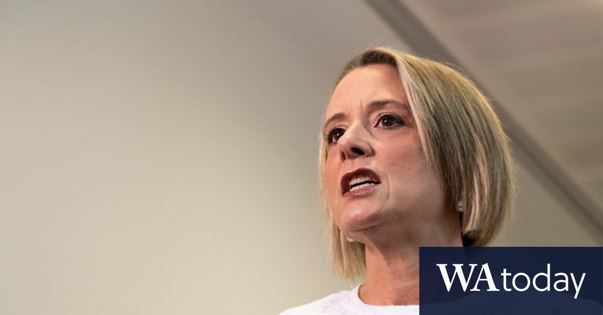 Labor offers deal on airport security but holds out on shipping checks - Vimarsana News