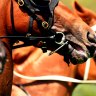 Racing returns to Coonamble on Sunday.