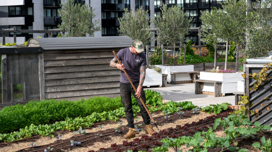 Farm manager Andy Beales tending the roof of the Burwood Brickworks