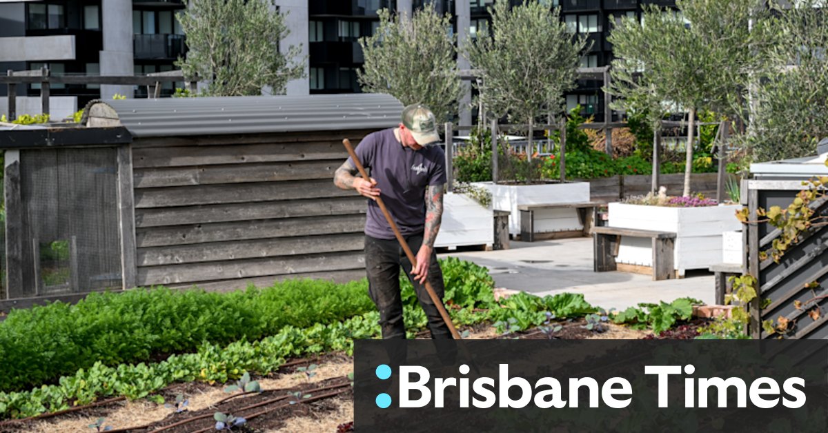 How to turn a roof into a garden – successfully - Vimarsana News