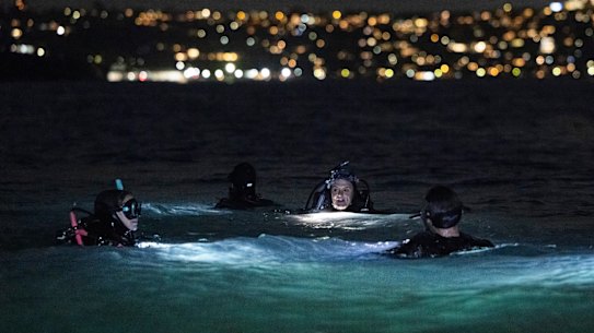 Divers prepare for their night dive on Thursday when they saw sharks and fish.