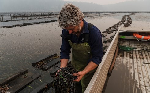 Greg Carton, owner of Broadwater Oysters in Pambula.