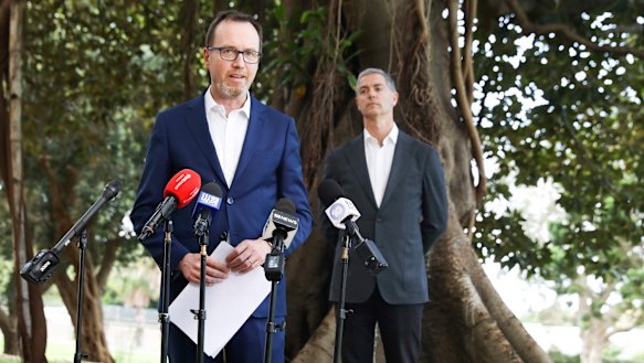 Upper house MPs David Shoebridge and John Graham.