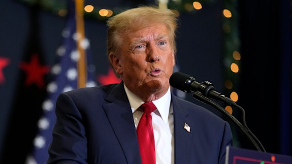 This year’s US presidential election, in which Donald Trump might be re-elected, could provide one of the largest shocks to the global economy.