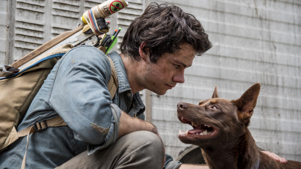 Surprise nomination for best visual effects: Dylan O’Brien and dog in Love and Monsters, which was shot in Queensland. 