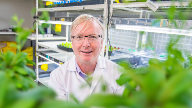 Research Director of the La Trobe Institute for Agriculture and Food at AgriBio, Professor Jim Whelan, is out to bust the green thumb myth. 
