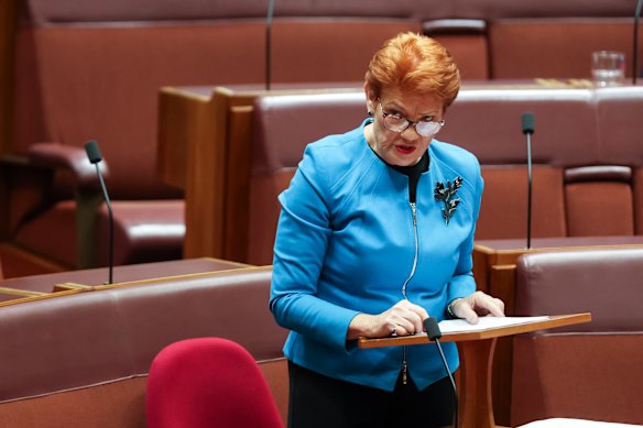 One Nation leader Pauline Hanson.