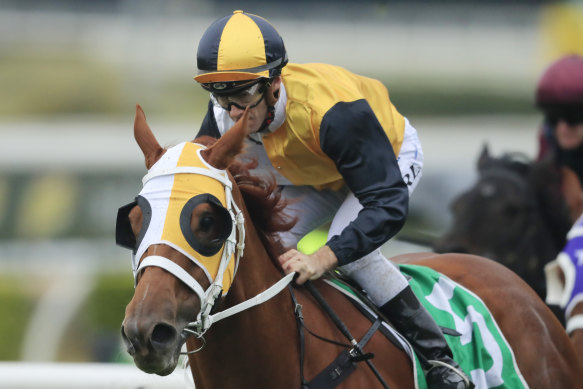 Star Of The Seas will represent the Chris Waller stable in this year’s All-Star Mile.