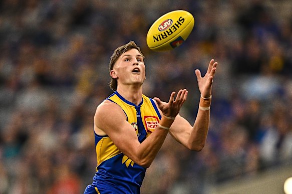 Jobe Shanahan has potential to be superstar of the game.