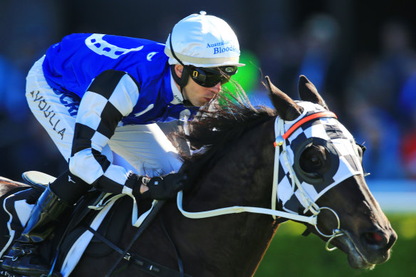 Our Candidate winning at Randwick under Brenton Avdulla in 2019.