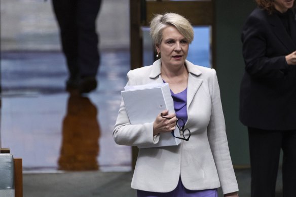 Tanya Plibersek in Parliament last month.