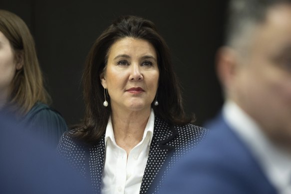 Coalition finance spokeswoman Jane Hume.