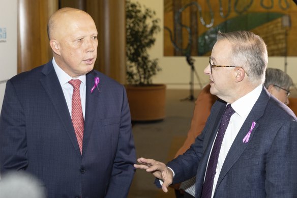 Opposition Leader Peter Dutton and Prime Minister Albanese in parliament on Wednesday. 