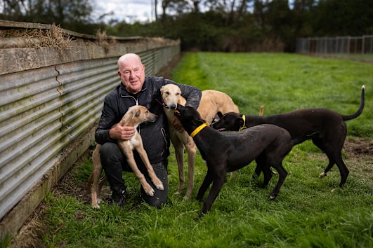 Terry Bailey spends a lot of time with his greyhounds as part of his new career.