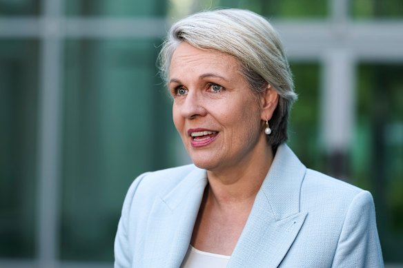 Minister for Social Services Tanya Plibersek joined in the question time sledging.
