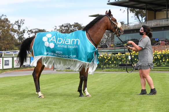 Wentwood after his Bendigo Cup win.