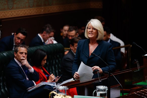 Police Minister Yasmin Catley answers a question in the NSW Legislative Assembly this week.