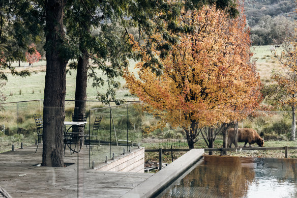 The guest pool set in beautiful gardens.