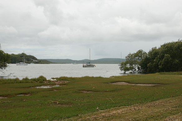 A stretch of coastline cleared in the past on Karragarra Island.