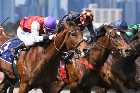 Ben Melham riding Heirborn (left) to victory in Race 2.