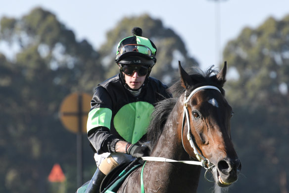 Tahsin's connections were looking forward to racing over the Warwick Farm mile for weeks.