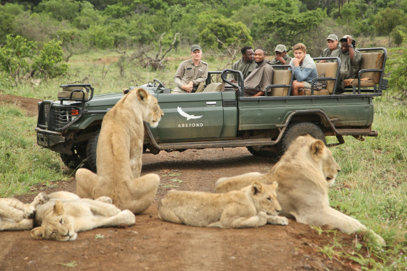 Watching – Phinda Private Game Reserve, South Africa.