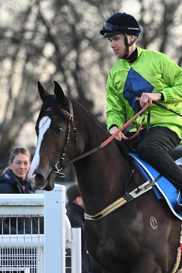 Tom Prebble riding Miraval Rose at Caulfield earlier this year. 
