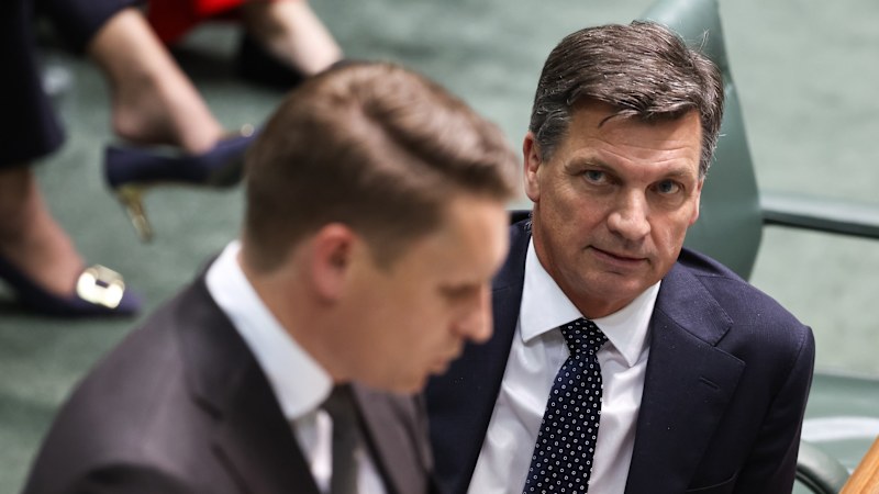 Can Andrew Hastie turn Pauline Hanson from victim to villain?