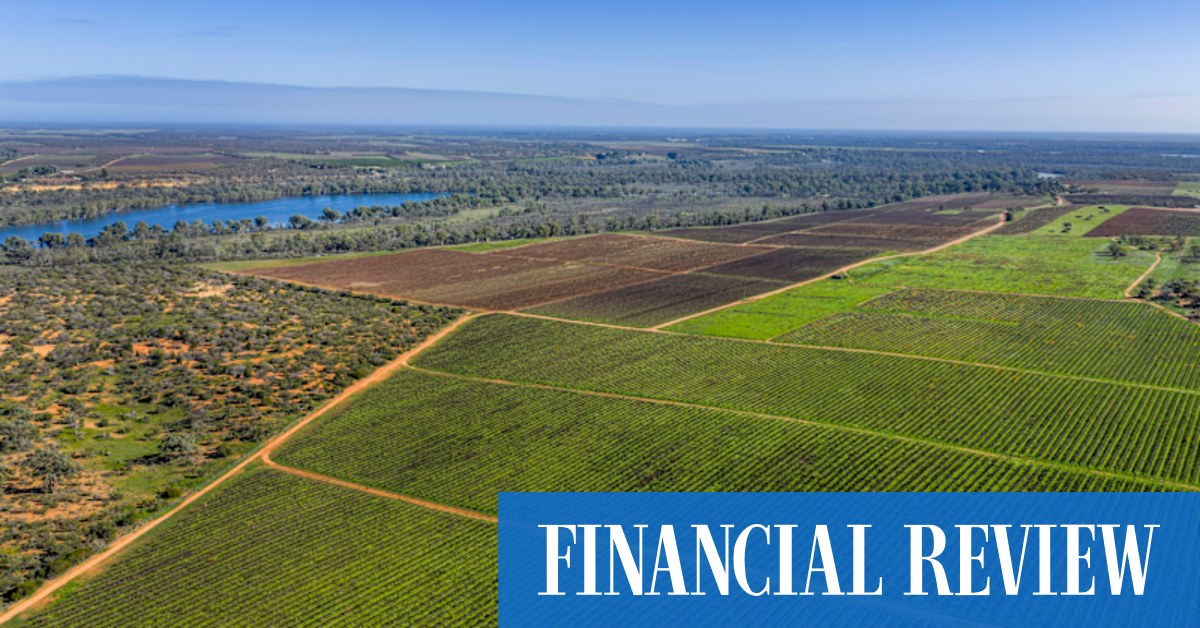 afr.com - Carrie LaFrenz, Nick Lenaghan - Endeavour, Treasury Wine Estates tap agents to sell vineyards