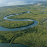 The Aussie forest 110 million years older than the Amazon