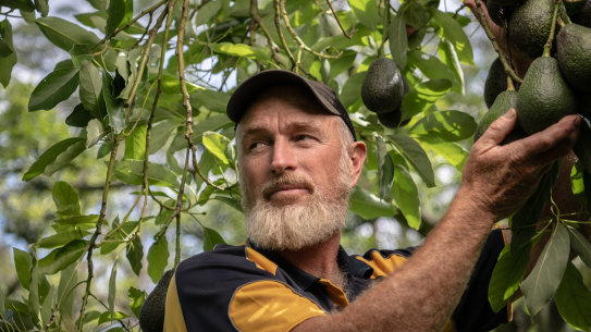 Tim Kemp, owner of Meliora Farm in Peats Ridge, says he can see the warning signs for a drought already