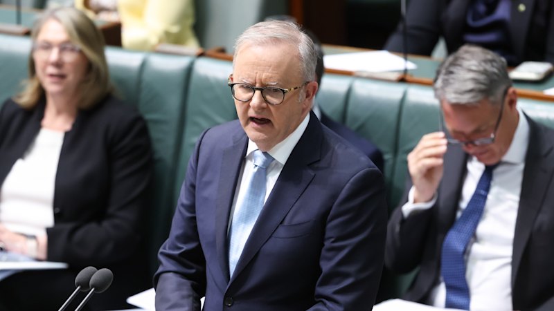 ‘On the verge of breakdown’: MPs’ staff burnt out from online hate