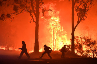 The Currowan bushfire has been raging for days in a national park near Ulladulla, burning almost 50,000 hectares as of Wednesday, the RFS said.