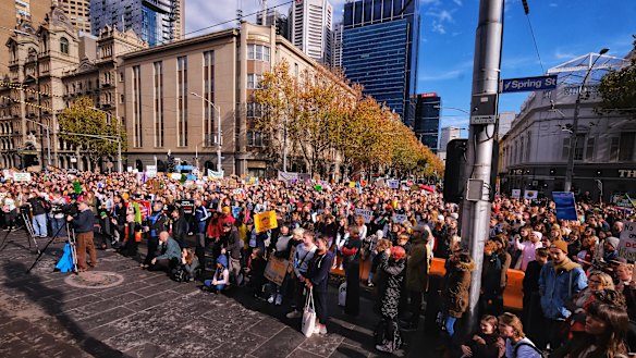 Part of the protesting crowd in Melbourne's CBD.