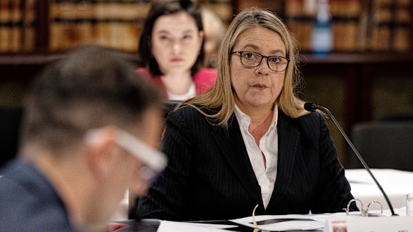 Jenny West appears at the NSW upper house inquiry.