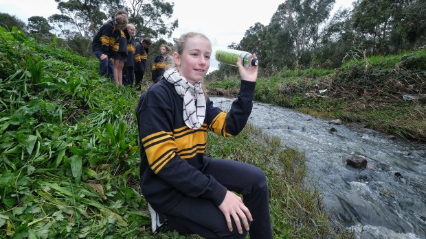 It's not rubbish: Eve Zimmermann, 11, throws a water bottle into Dandenong Creek to track where litter goes.