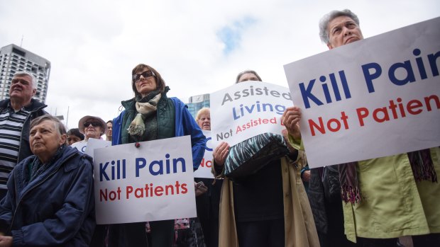 Anti-euthanasia protesters take their message to politicians at Parliament House earlier this month.