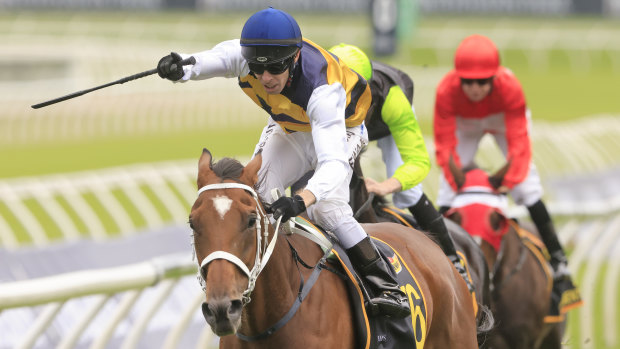 Ron Stewart on Selino wins the Sydney Cup.