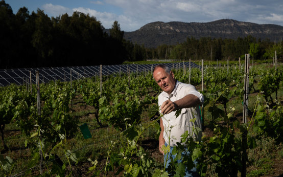 The Tulloch vineyard and winery is carbon neutral across the growing and wine-making process.