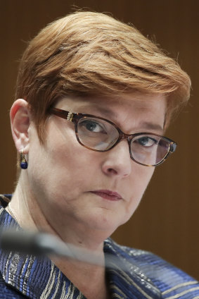 Defence Minister Marise Payne says the allegations are being "thoroughly examined".