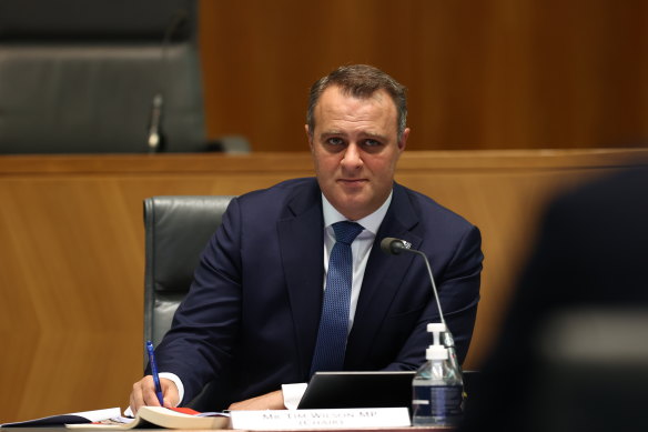 Liberal MP Tim Wilson claimed Glen Eira mayor Jim Magee made false statements.