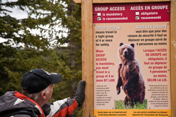 Every forest in Canada is haunted by bears.