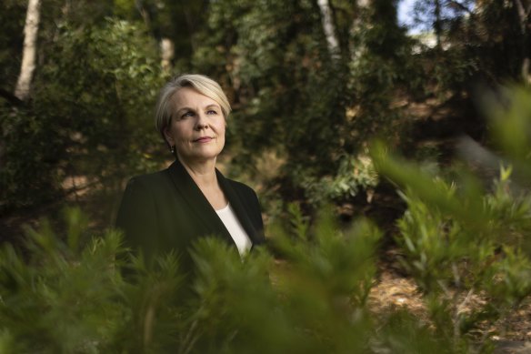 Environment and Water Minister Tanya Plibersek.