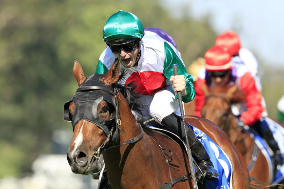 Castelvecchio is ready to take the autumn by storm starting with Saturday's Hobartville Stakes.