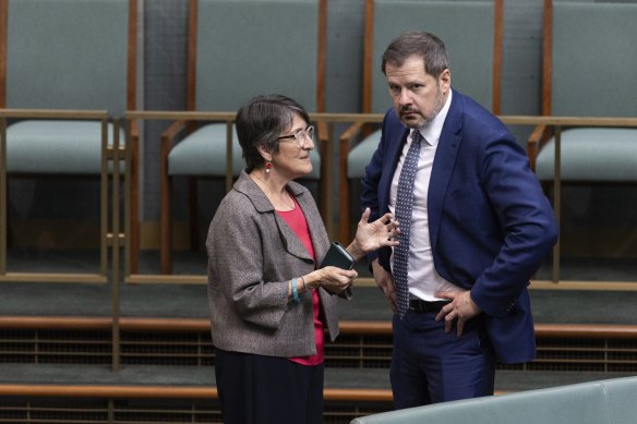 Member for Calwell Maria Vamvakinou and Minister for Industry and Science Ed Husic in parliament last month.