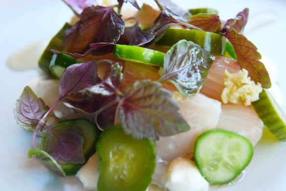 Raw Spencer Gulf Kingfish with cucumber, wasabi and white soy.