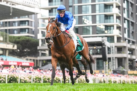 Observer will start a short-priced favourite in the Victoria Derby.