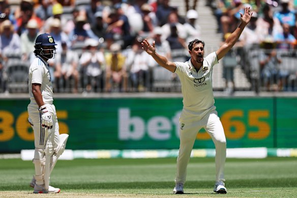 Paceman Mitchell Starc has had plenty of experience bowling at the WACA in Perth. 