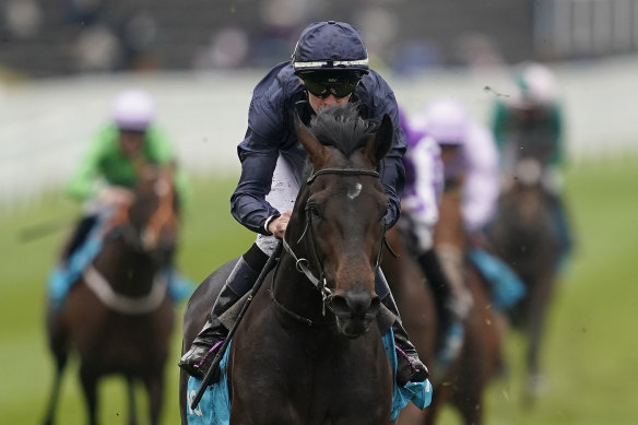 Sir Dragonet's victory in the Chester Vase Stakes last year.