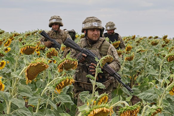 Rekrutmen militer Ukraina berlatih di ladang bunga matahari di wilayah Zaporizhzhia pada hari Senin.